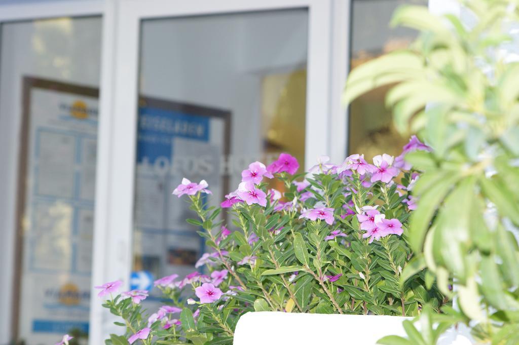 Lofos Hotel Plakias Exterior foto